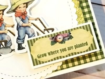 Grow where you are planted