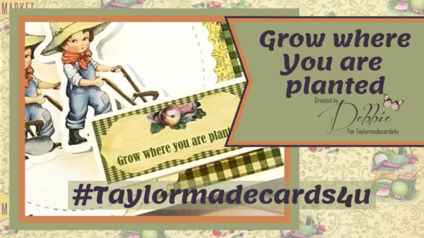 Grow Where You are Planted