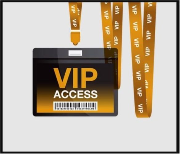 VIP Access Blog 584x500