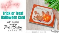 debbie jenkins july 11 2025 pbp (blog)